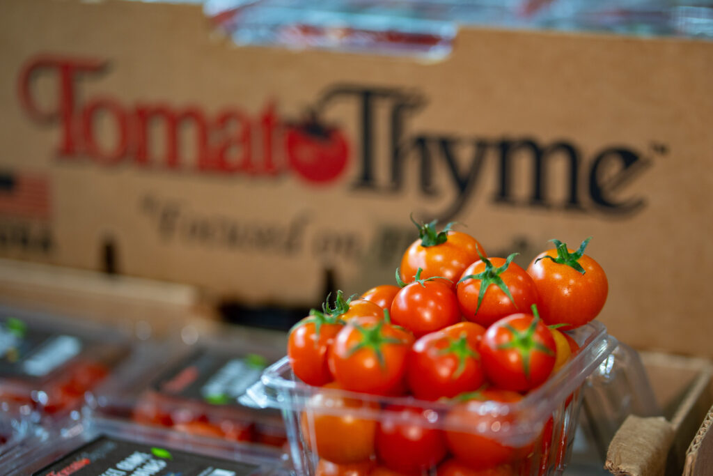 Tomato Thyme - CherryTomatoes
