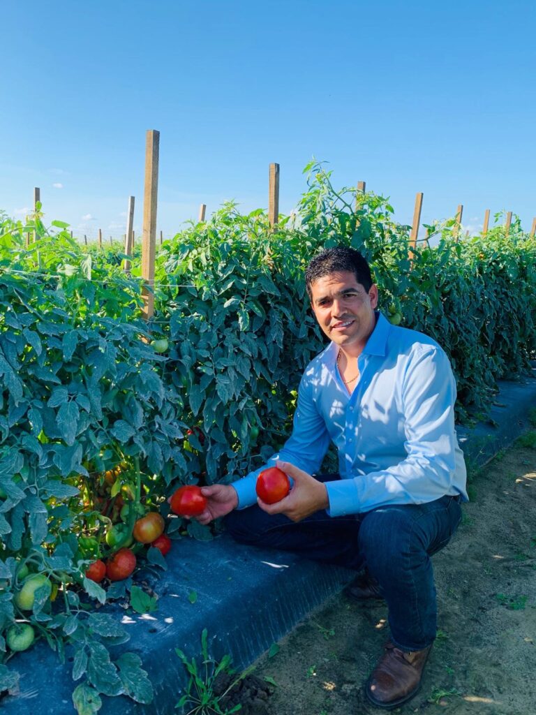 Tomato Thyme - Javier