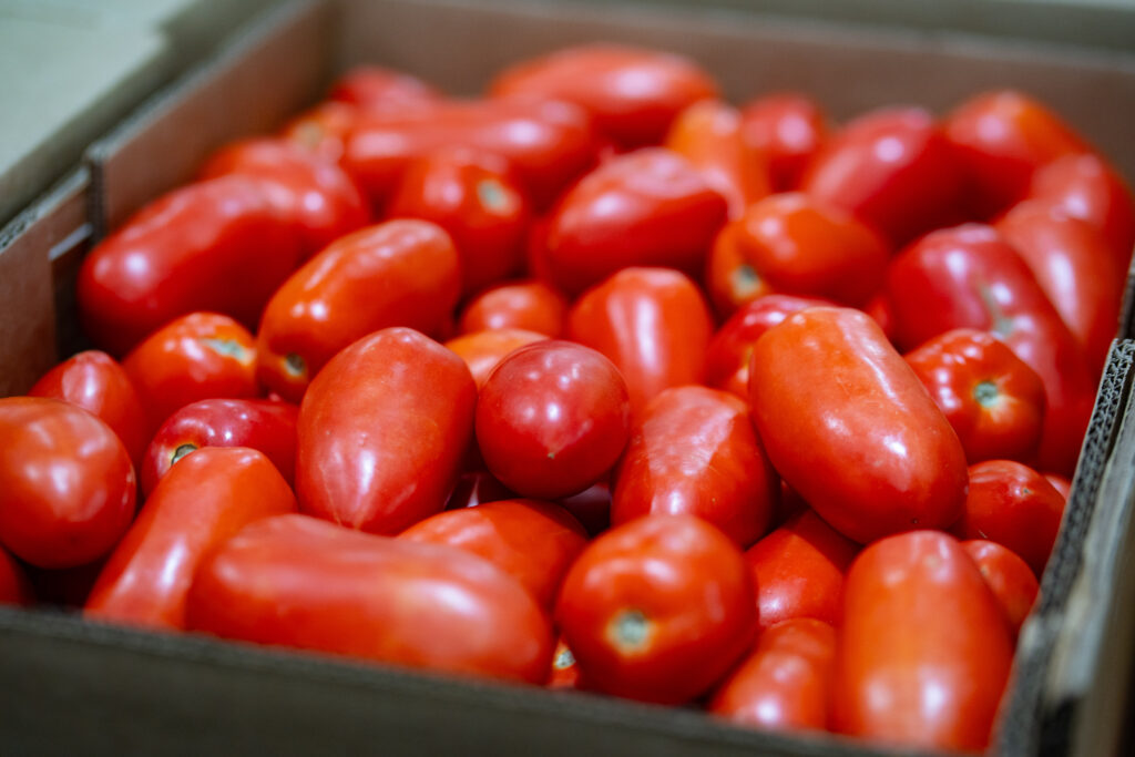 Tomato Thyme - Roma Tomatoes