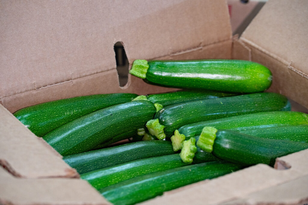 Tomato Thyme - Zucchini